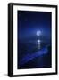 Tranquil Ocean at Night Against Starry Sky and Moon-null-Framed Photographic Print