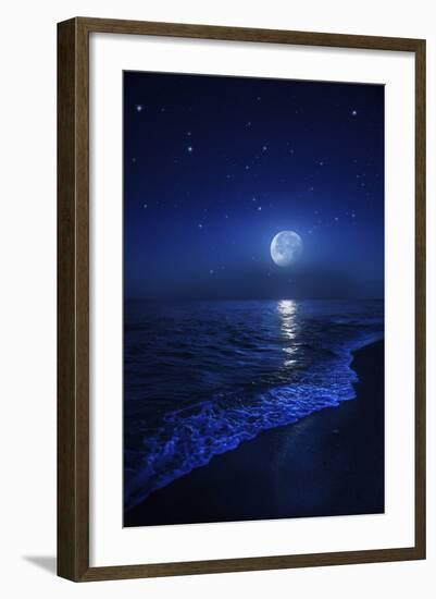 Tranquil Ocean at Night Against Starry Sky and Moon-null-Framed Photographic Print