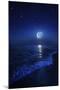 Tranquil Ocean at Night Against Starry Sky and Moon-null-Mounted Photographic Print