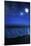 Tranquil Ocean at Night Against Starry Sky, Moon and Falling Meteorite-null-Mounted Photographic Print