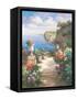 Tranquil Overlook-James Reed-Framed Stretched Canvas