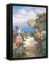 Tranquil Overlook-James Reed-Framed Stretched Canvas