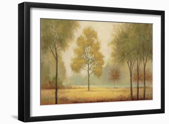 Tranquil Panorama-Jill Schultz McGannon-Framed Art Print