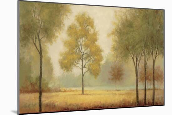 Tranquil Panorama-Jill Schultz McGannon-Mounted Art Print