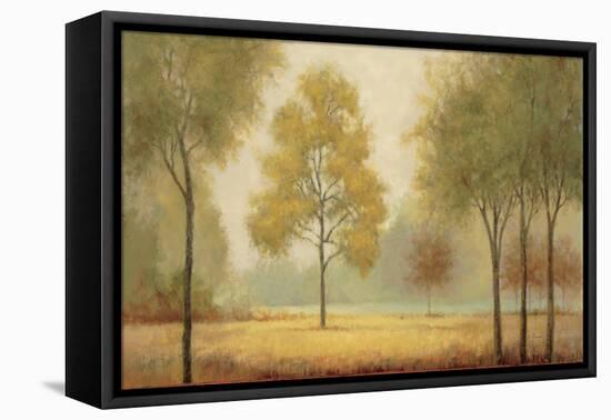 Tranquil Panorama-Jill Schultz McGannon-Framed Stretched Canvas