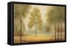 Tranquil Panorama-Jill Schultz McGannon-Framed Stretched Canvas