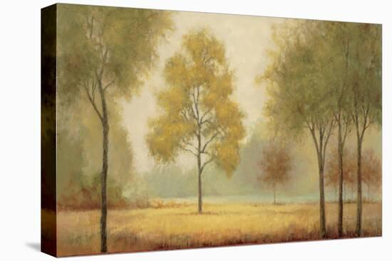 Tranquil Panorama-Jill Schultz McGannon-Stretched Canvas