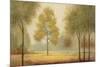 Tranquil Panorama-Jill Schultz McGannon-Mounted Premium Giclee Print