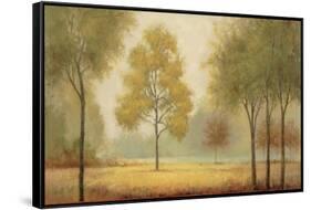 Tranquil Panorama-Jill Schultz McGannon-Framed Stretched Canvas