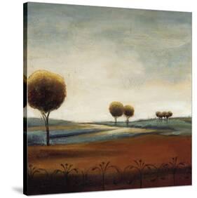 Tranquil Plains I-Ursula Salemink-Roos-Stretched Canvas