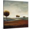 Tranquil Plains I-Ursula Salemink-Roos-Stretched Canvas