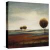 Tranquil Plains II-Ursula Salemink-Roos-Stretched Canvas