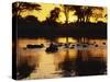 Tranquil Scene of a Group of Hippopotamus in Water at Sunset, Okavango Delta, Botswana-Paul Allen-Stretched Canvas