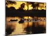 Tranquil Scene of a Group of Hippopotamus in Water at Sunset, Okavango Delta, Botswana-Paul Allen-Mounted Photographic Print