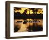 Tranquil Scene of a Group of Hippopotamus in Water at Sunset, Okavango Delta, Botswana-Paul Allen-Framed Photographic Print