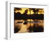 Tranquil Scene of a Group of Hippopotamus in Water at Sunset, Okavango Delta, Botswana-Paul Allen-Framed Photographic Print