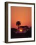 Tranquil Scene of Trees Silhouetted Against the Sun at Sunset, Okavango Delta, Botswana, Africa-Paul Allen-Framed Photographic Print