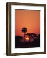 Tranquil Scene of Trees Silhouetted Against the Sun at Sunset, Okavango Delta, Botswana, Africa-Paul Allen-Framed Photographic Print