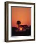 Tranquil Scene of Trees Silhouetted Against the Sun at Sunset, Okavango Delta, Botswana, Africa-Paul Allen-Framed Photographic Print