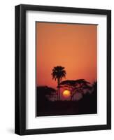 Tranquil Scene of Trees Silhouetted Against the Sun at Sunset, Okavango Delta, Botswana, Africa-Paul Allen-Framed Photographic Print