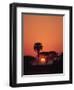 Tranquil Scene of Trees Silhouetted Against the Sun at Sunset, Okavango Delta, Botswana, Africa-Paul Allen-Framed Photographic Print