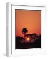 Tranquil Scene of Trees Silhouetted Against the Sun at Sunset, Okavango Delta, Botswana, Africa-Paul Allen-Framed Photographic Print