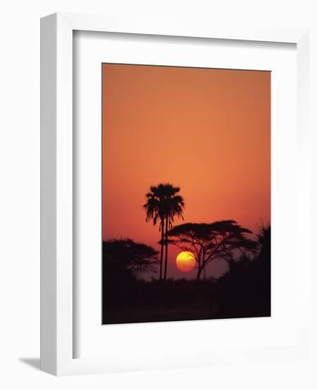 Tranquil Scene of Trees Silhouetted Against the Sun at Sunset, Okavango Delta, Botswana, Africa-Paul Allen-Framed Photographic Print