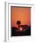 Tranquil Scene of Trees Silhouetted Against the Sun at Sunset, Okavango Delta, Botswana, Africa-Paul Allen-Framed Photographic Print