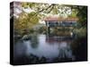 Tranquil Scene with Covered Bridge-null-Stretched Canvas