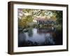 Tranquil Scene with Covered Bridge-null-Framed Photographic Print