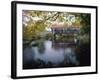 Tranquil Scene with Covered Bridge-null-Framed Photographic Print