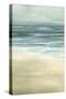 Tranquil Sea II-Jennifer Goldberger-Stretched Canvas