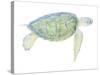 Tranquil Sea Turtle I-Megan Meagher-Stretched Canvas