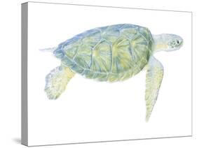 Tranquil Sea Turtle I-Megan Meagher-Stretched Canvas