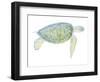 Tranquil Sea Turtle I-Megan Meagher-Framed Art Print