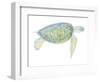 Tranquil Sea Turtle I-Megan Meagher-Framed Art Print