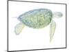 Tranquil Sea Turtle I-Megan Meagher-Mounted Art Print