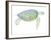 Tranquil Sea Turtle I-Megan Meagher-Framed Art Print