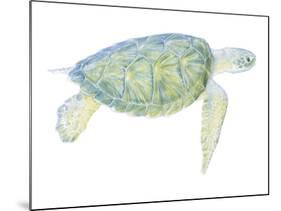 Tranquil Sea Turtle I-Megan Meagher-Mounted Art Print