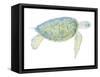 Tranquil Sea Turtle I-Megan Meagher-Framed Stretched Canvas