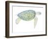 Tranquil Sea Turtle I-Megan Meagher-Framed Art Print