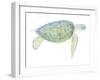 Tranquil Sea Turtle I-Megan Meagher-Framed Art Print