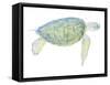 Tranquil Sea Turtle I-Megan Meagher-Framed Stretched Canvas