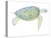 Tranquil Sea Turtle I-Megan Meagher-Stretched Canvas
