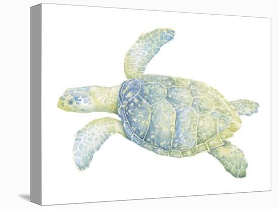 Tranquil Sea Turtle II-Megan Meagher-Stretched Canvas