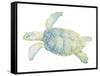 Tranquil Sea Turtle II-Megan Meagher-Framed Stretched Canvas