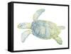 Tranquil Sea Turtle II-Megan Meagher-Framed Stretched Canvas