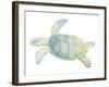 Tranquil Sea Turtle II-Megan Meagher-Framed Art Print