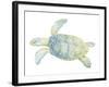 Tranquil Sea Turtle II-Megan Meagher-Framed Art Print