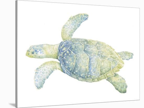 Tranquil Sea Turtle II-Megan Meagher-Stretched Canvas